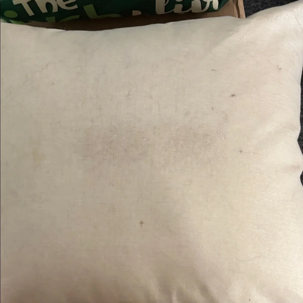 Green and Cream Decorative Pillows $20.00 for all 3,grinch themed.